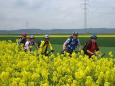 CroppedImage11586-img_3542a